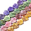 Natural Freshwater Shell Beads Strands SHEL-Q025-002-1