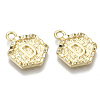 Alloy Pendants PALLOY-N157-003D-NR-2