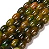 Natural Agate Beads Strands G-B079-E01-01F-1