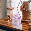 Clear PVC Candy Gift Packaging Boxes with Ribbon & Artificial Flower CON-TAC0001-20E-11