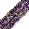 Natural Charoite Beads Strands G-D480-A11-1