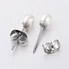 Natural Cultured Freshwater Pearl Ear Studs EJEW-JE01814-2