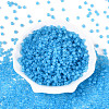 6/0 Transparent Inside Colours Glass Seed Beads SEED-N008-08F-2