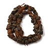 Raw Rough Natural Amber Beads Strands GG-CBAC13F-D01-03-3