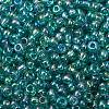 8/0 Round Glass Seed Beads SEED-J011-F8-178-2