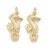Brass Pendants KK-T071-103G-1