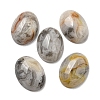 Natural Crazy Agate Cabochons X-G-C115-01A-33-1