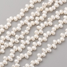 Natural Cultured Freshwater Pearl Beads Strands PEAR-G007-16