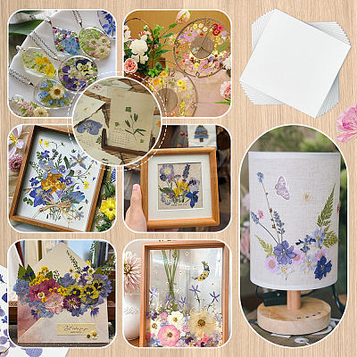 Dried Embossed Paper DIY-WH0622-646C-1