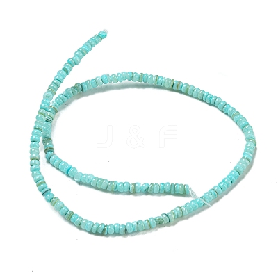Dyed Natural Freshwater Shell Beads Strands BSHE-G039-07C-1