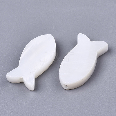 Natural Freshwater Shell Beads SSHEL-R049-04-1