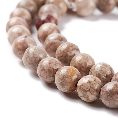 Natural Maifanite/Maifan Stone Beads Strands G-P451-01B-B-1