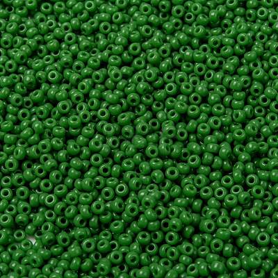 MIYUKI Round Rocailles Beads X-SEED-G008-RR0411-1