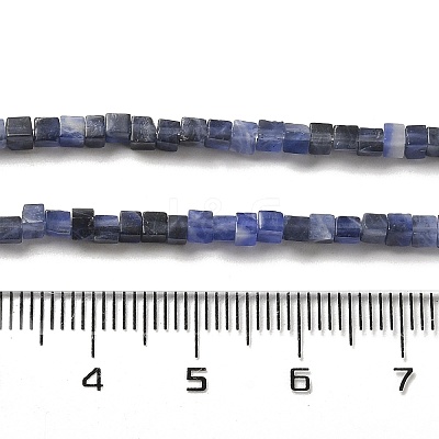 Natural Sodalite Beads Strands G-B064-A27-1