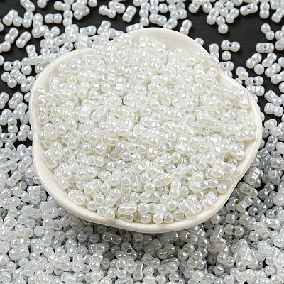 Glass Seed Beads SEED-K009-02B-24-1