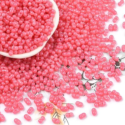 Baking Paint Glass Seed Beads SEED-L011-09A-16-1
