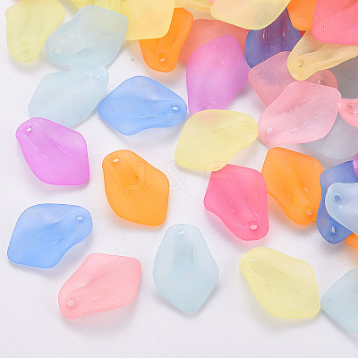 Transparent Frosted Acrylic Pendants MACR-S371-03A-1