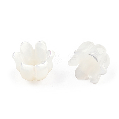 Natural White Shell Bead Caps SSHEL-N032-58B-1