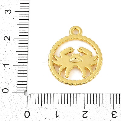 Twelve Constellations Alloy Pendants PALLOY-Q006-01A-G-1