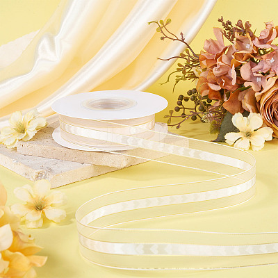Polyester Lace Ribbon OCOR-TADJ0001-07A-1