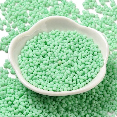 Glass Frosted Seed Beads SEED-K009-05B-05-1