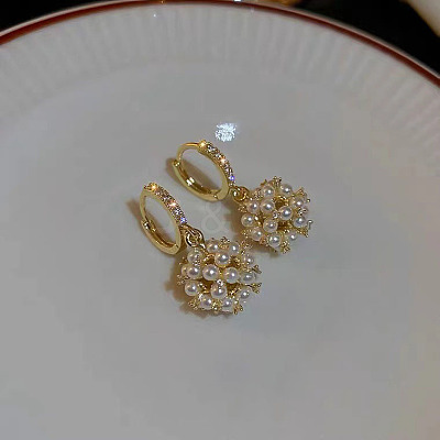 Alloy Rhinestone Hoop Earrings FS-WG20219-01-1