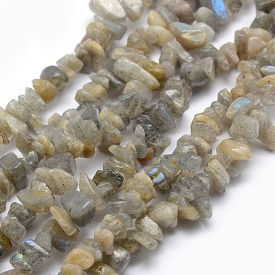 Natural Labradorite Beads Strands X-G-P332-23-1