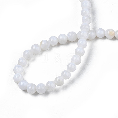 Natural Freshwater Shell Beads Strands X-SHEL-N003-24-A01-1