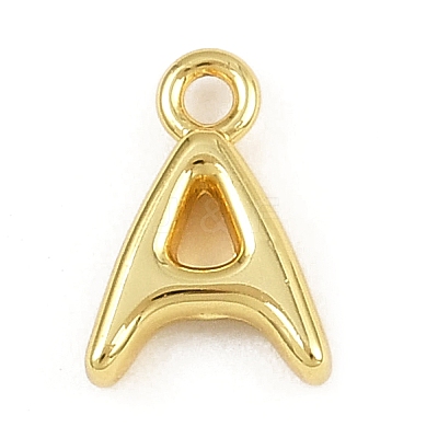 304 Stainless Steel Charms KK-I352-02G-1