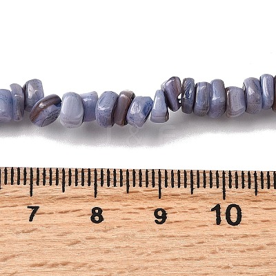 Natural Freshwater Shell Beads SHEL-B003-01G-1