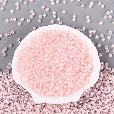 FGB Glass Seed Beads SEED-Q040-08A-03-1