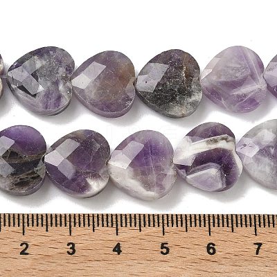 Natural Amethyst Beads Strands G-A309-A11-01-1