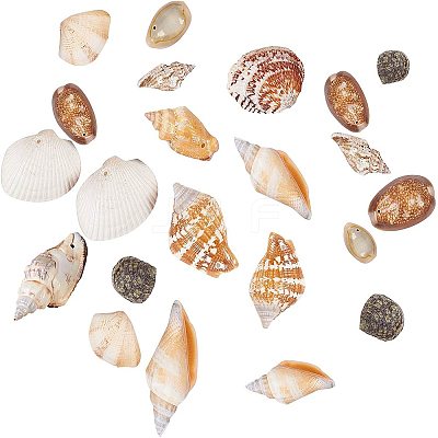 Mixed Natural Shell Bead Sets BSHE-PH0003-03-1