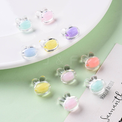 Transparent Acrylic Beads TACR-S152-05A-1