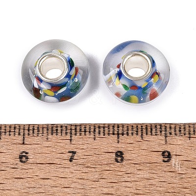 Handmade Lampwork & Brass Core European Beads LAMP-N044-09S-01-1