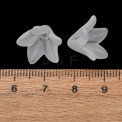Frosted Acrylic Bead Caps AC-CBA1E6C-04-1