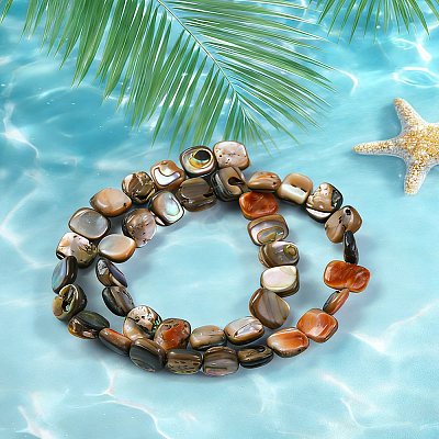 1 Strand Natural Paua Shell Beads Strands BSHE-PA0001-07-1