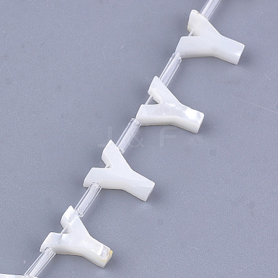 Natural Sea Shell Beads X-SHEL-T012-60Y-1