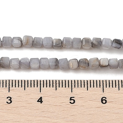 Natural Freshwater Shell Dyed Beads Strands SHEL-R100-11A-02-1