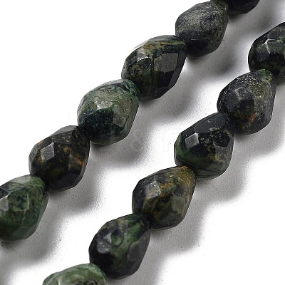 Natural Kambaba Jasper Beads Strands G-P520-B19-01-1