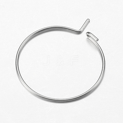 316 Surgical Stainless Steel Hoop Earrings Findings STAS-I097-050E-1