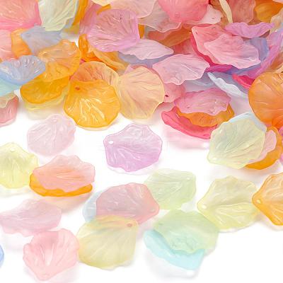 Transparent Frosted Acrylic Pendants X-MACR-S371-01A-1