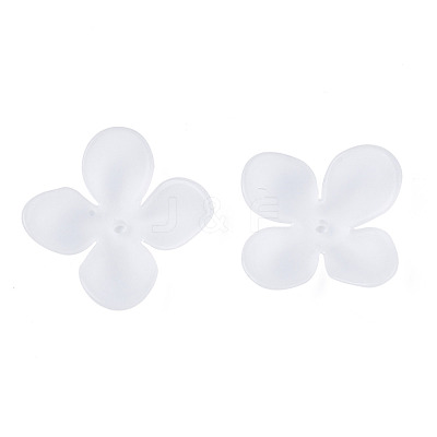 Transparent Acrylic Beads FACR-N005-003-1