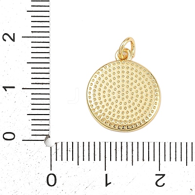 Brass Enamel Pendants KK-L251-02G-G04-1