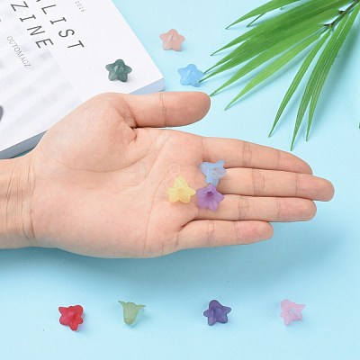 Mixed Color Transparent Acrylic Frosted Flower Beads X-PLF018-1