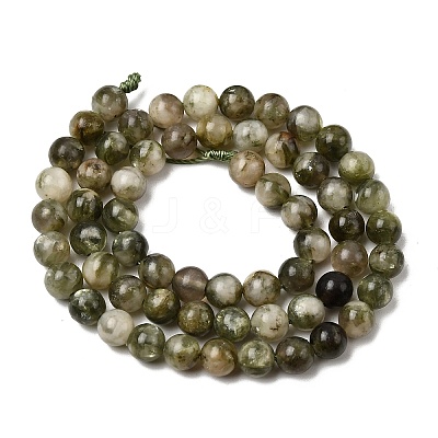 Natural Green Lepidolite Beads Strands G-K350-B01-6mm-1