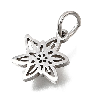 304 Stainless Steel Charms SA-CBA4CE0-01P-K-1