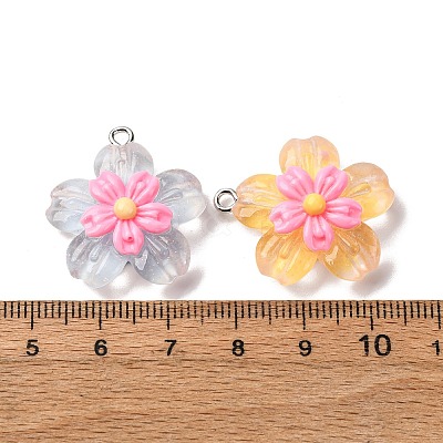 Transparent Resin Pendants RESI-A046-05A-1