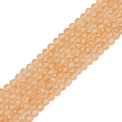 Glass Beads Strands EGLA-A034-T10mm-D23-1