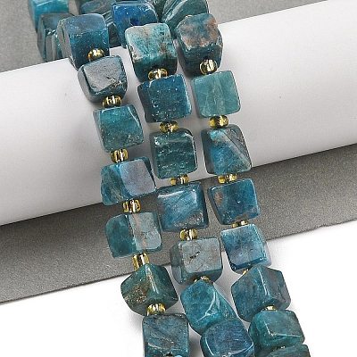 Natural Apatite Beads Strands G-G053-B18-03-1
